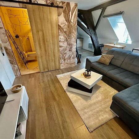 Logement Entier Au Coeur De Strasburgo Esterno foto