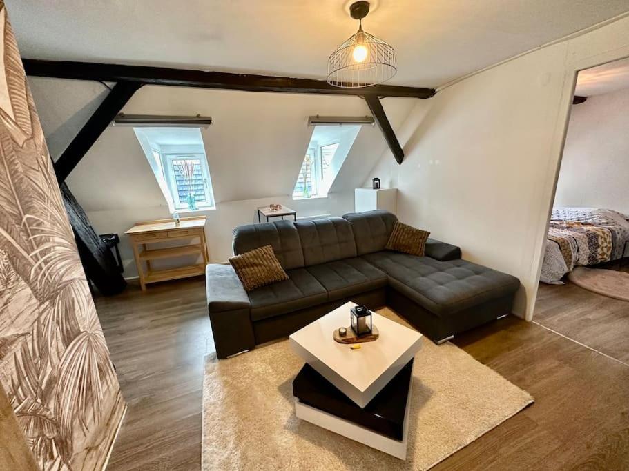 Logement Entier Au Coeur De Strasburgo Esterno foto