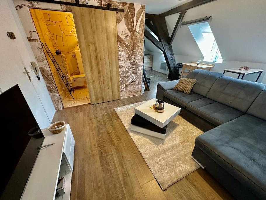 Logement Entier Au Coeur De Strasburgo Esterno foto